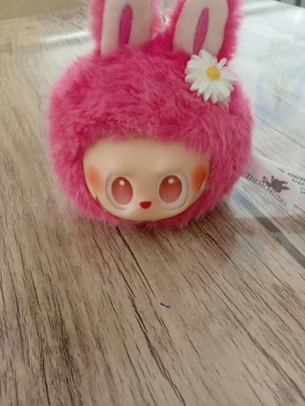 Labubu Labubu