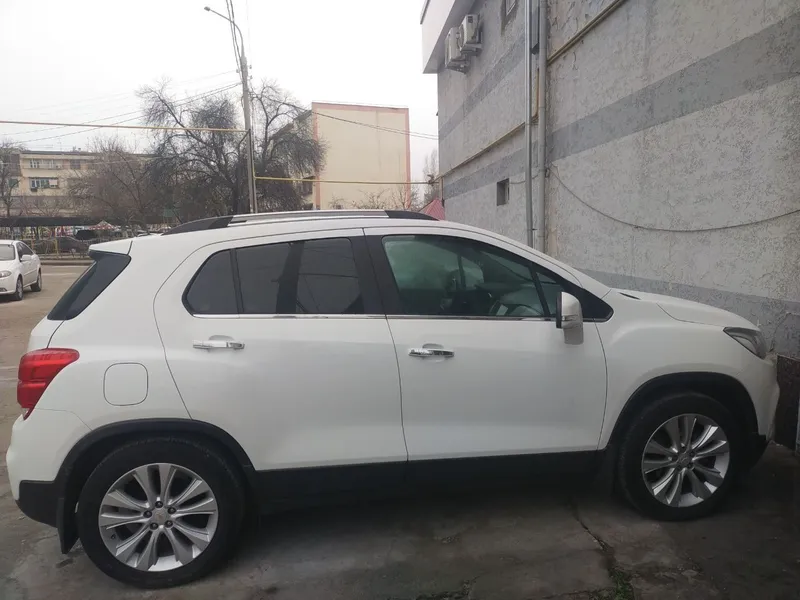 Brinchi qoʼl kraskasi tozza 3 Brinchi qoʼl kraskasi tozza 3