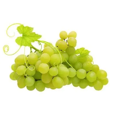 Tabiiy uzum va olma sirkasi 2 Tabiiy uzum va olma sirkasi 2