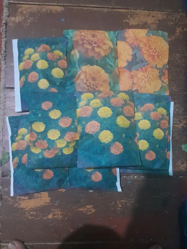 Shafran urug' / tagetes urug' / petunia urug' 2