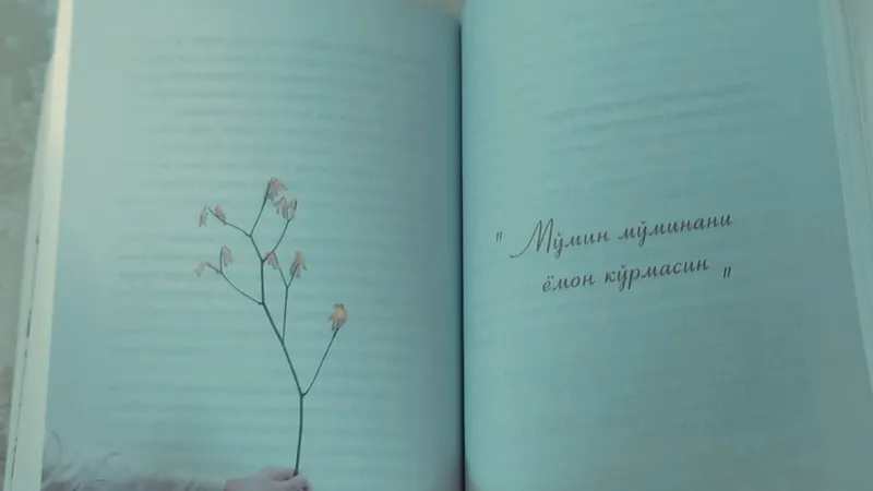 книга 6 книга 6