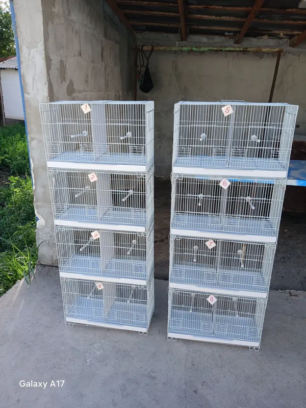 Продаётся клетка паровка 4 Продаётся клетка паровка 4