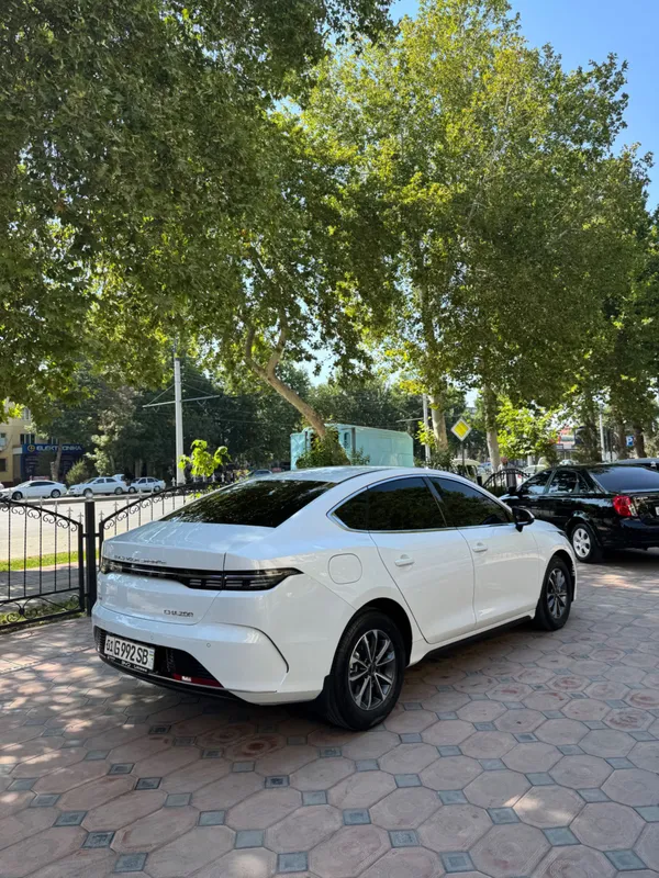 BYD Chazor 55 km 4 BYD Chazor 55 km 4