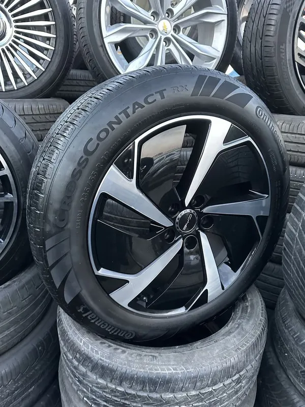 Byd chimpion yangicha 3 Byd chimpion yangicha 3