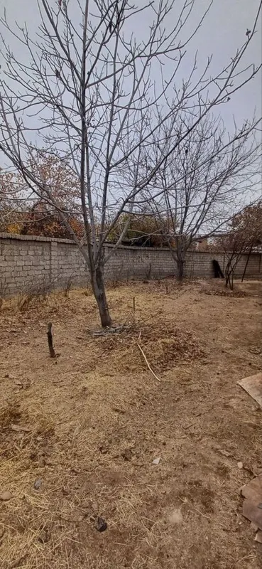Продаю свою землю — фото 3