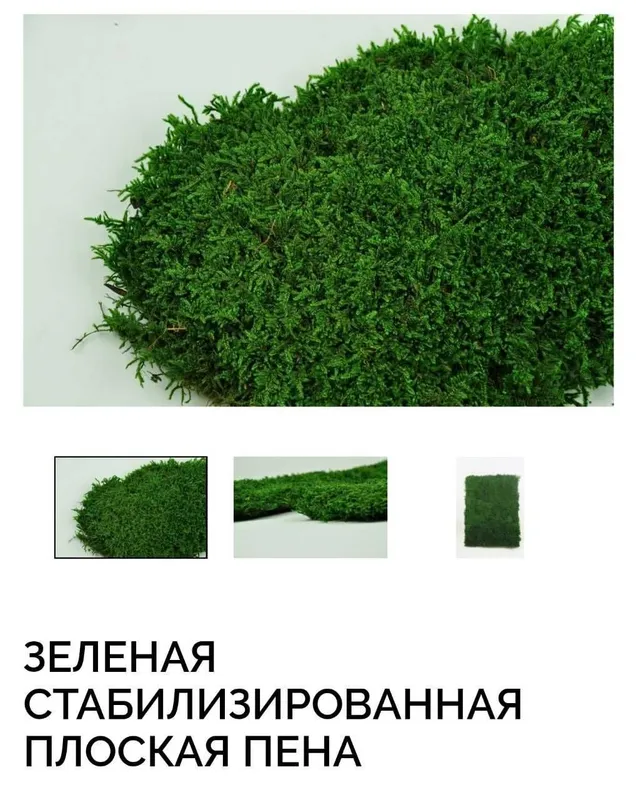 Стабилизированный природный мох доставка под заказ — фото 4