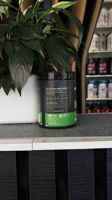 Optimum Nutrition Micronised Creatine 317 gr. — фото 1
