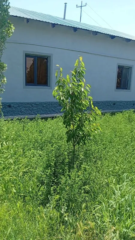 Срочно продаётся дом 2 Срочно продаётся дом 2