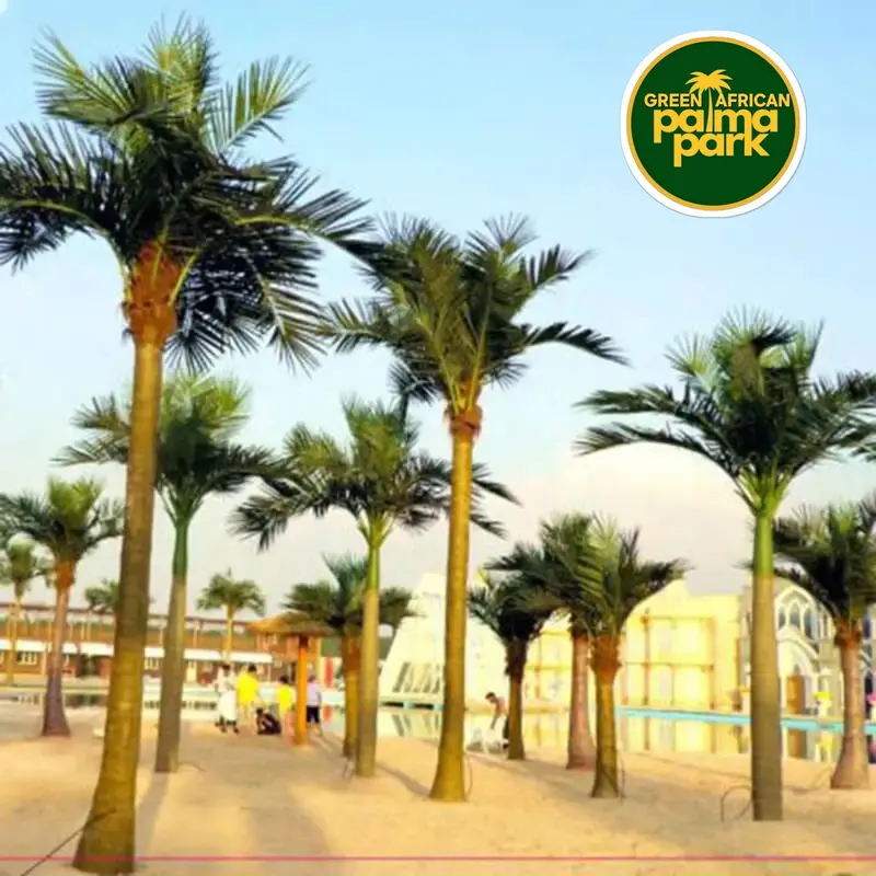 Palm darahtlar ( Suniy) — фото 4