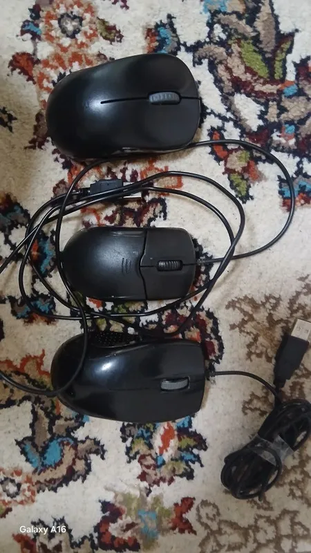 Har xil naras hamsin 300 ga 1 Har xil naras hamsin 300 ga 1