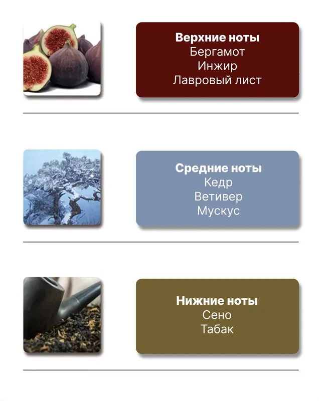 Парфюм Black tea 029 EDP | Парфюмированная вода — фото 1