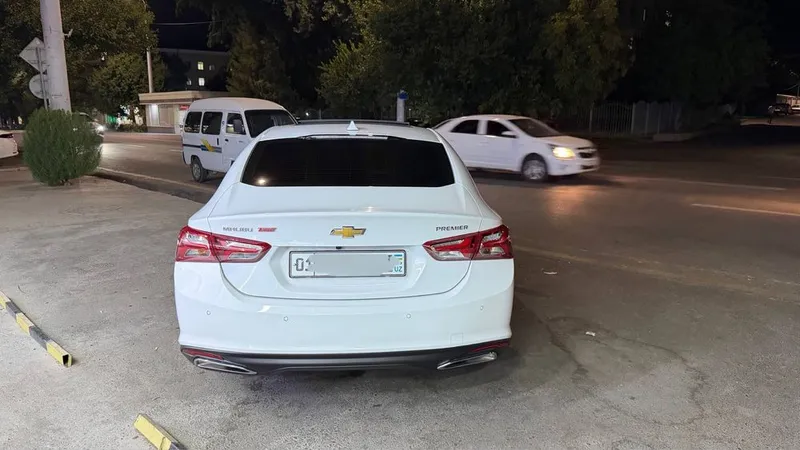 Malibu Primer 2020 7 Malibu Primer 2020 7