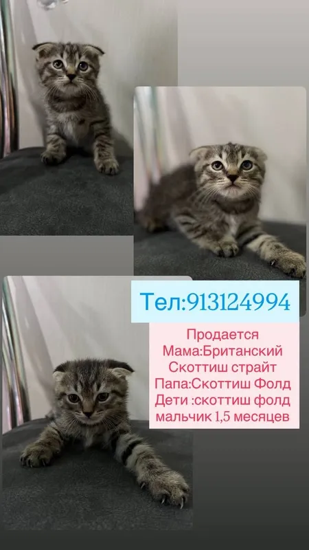 Продаётся 1