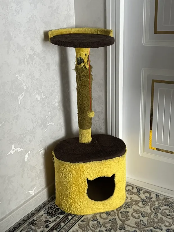 Mushuk latogi va uychasi arochna sotiladi