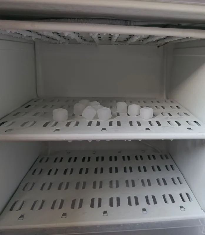 Muzlatgich Indesit DS 4200SB 3