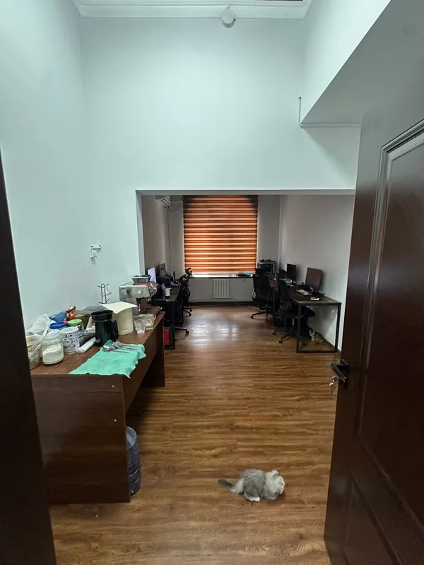 Ofis remontiga pul sarflashdan charchadingizmi? — фото 9