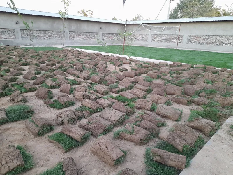 archa kesish dorilash 3