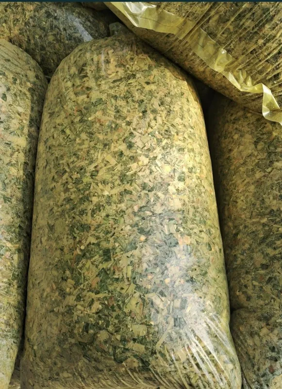 Qoplangan seloslar sotiladi 20 kglik 4 Qoplangan seloslar sotiladi 20 kglik 4