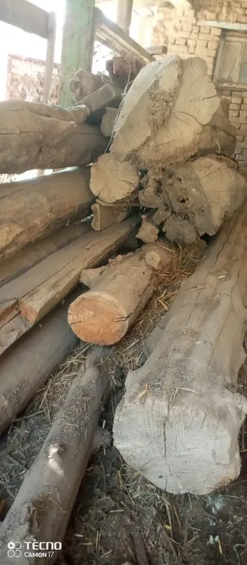 Балка.. кругляк. Бусинка 2