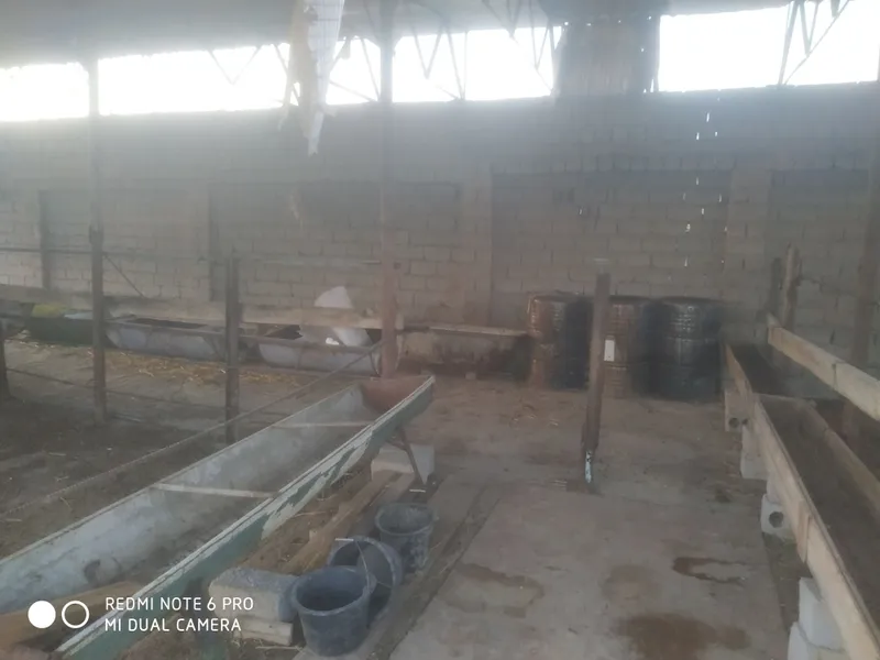 Ijaraga beriladi 1 Ijaraga beriladi 1