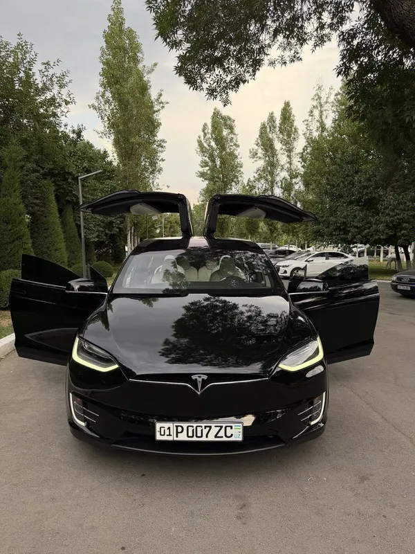 Tesla Model X Perfomance Americanka