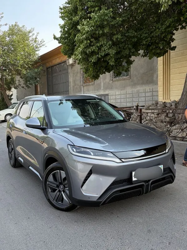 Byd yuan up 2025 full