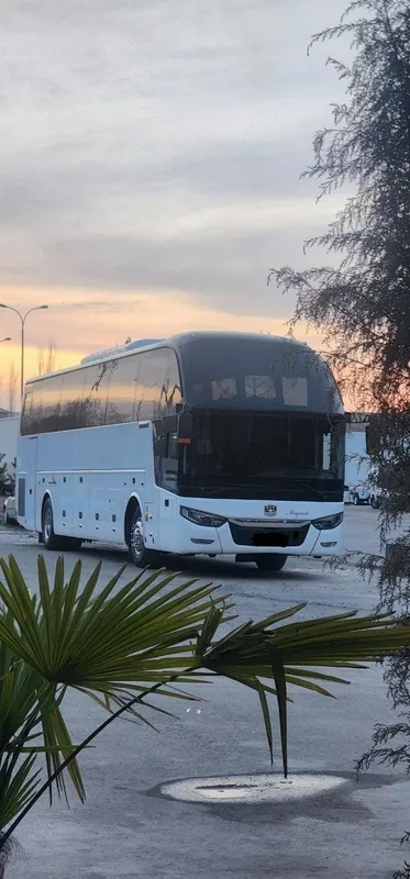 Zongtong avtobus srochno sotiladi