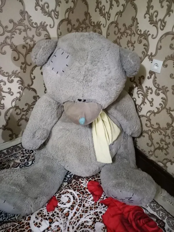 Teddy ayiq . . . — фото 1