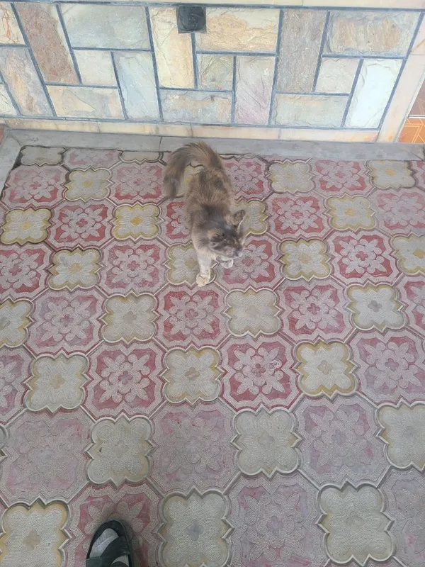 Men kun sotiladi 2 Men kun sotiladi 2