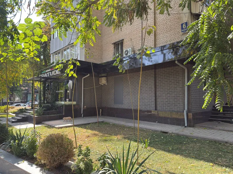 Продажа помещение 1 м², Мирзо-Улугбекский 3