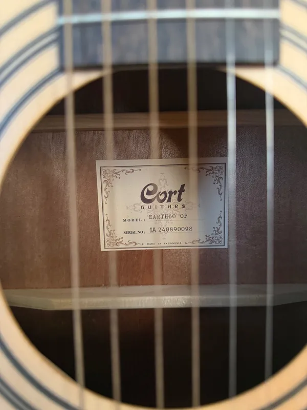 Гитара Cort Earth 60 Acoustic Guitar — фото 1