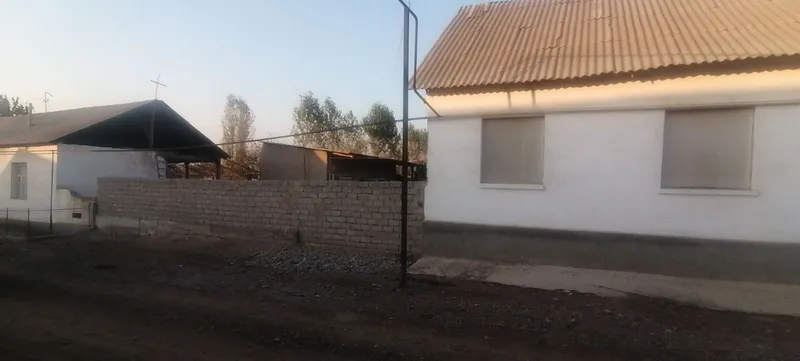 Дала ховлисотилади — фото 2