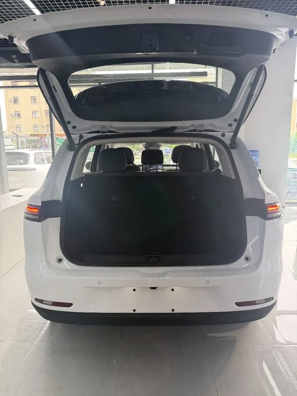 Leapmotor C10 hybrid — фото 2