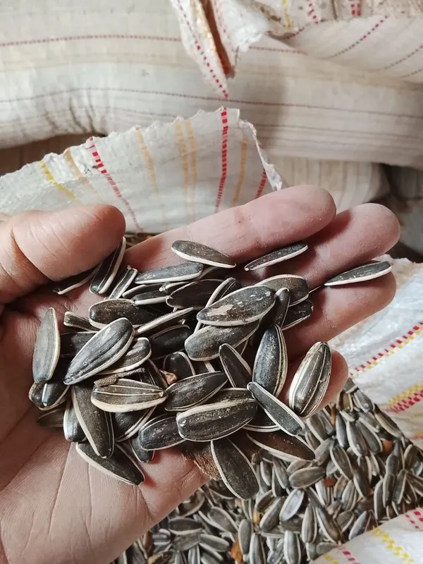 Semichka sotiladi narxi 25ming kami bor T6 mesni — фото 1