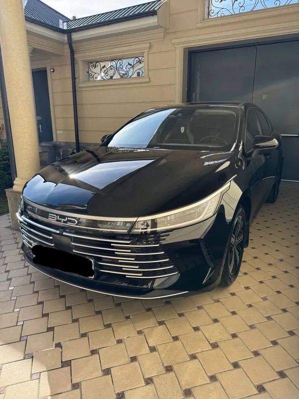 Byd chazor 120 full — фото 2