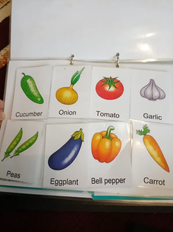 kichkintoylar uchun o'quv papkasi — фото 1