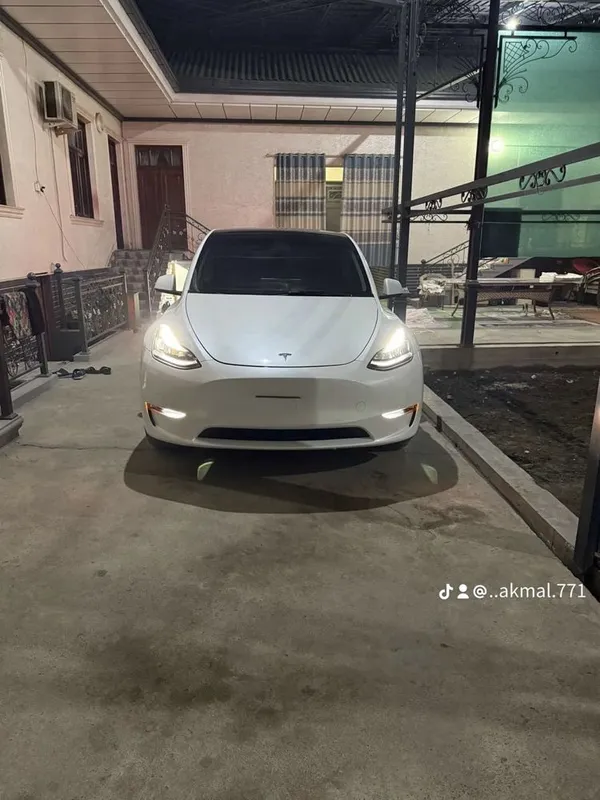 Tesla Model Y Performance Dual Motor — фото 1