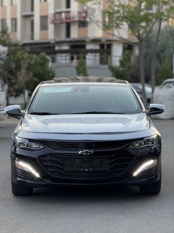 Rent car / рент сар