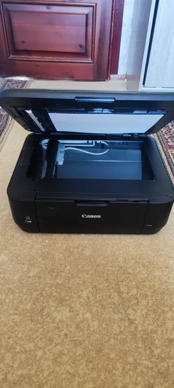 Принтер, Canon pixma MX394 1