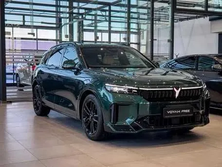 Voyah Free Hybrid 318 km RWD