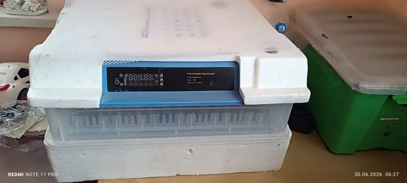 inkubator 200 talik inkubator 200 talik