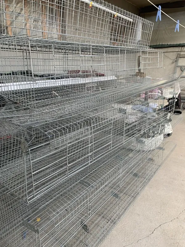 Tuxumdor tovuqlar uchun setka sotiladi, Tuxumdor tovuqlar uchun setka sotiladi,