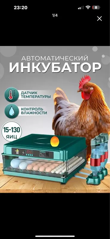 Inkubator 64 toʻrtalik