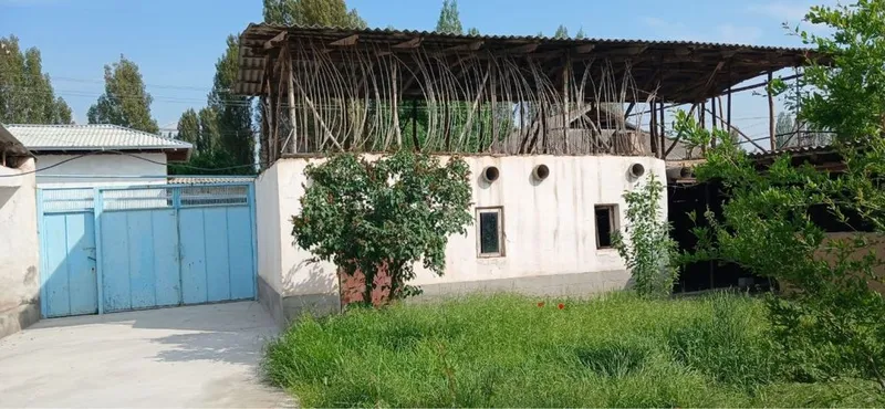 Айдарали чирчик платина