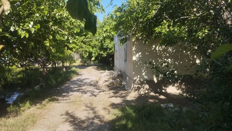 Biznes uchun Noturar Yer Bino Dacha Sotiladi — фото 6