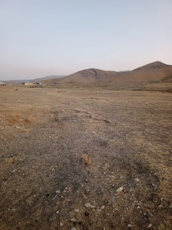 yer sotiladi sutigʻi 500 dollardan kelishamiz yana 1 yer sotiladi sutigʻi 500 dollardan kelishamiz yana 1