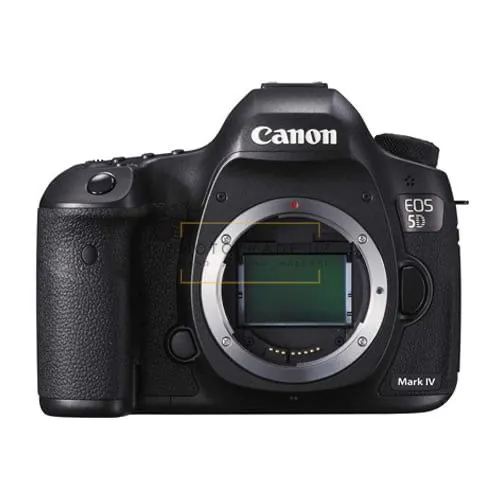 Canon 5D Mark IV+ 24-70mm 2.8 + 85mm 1.2 1