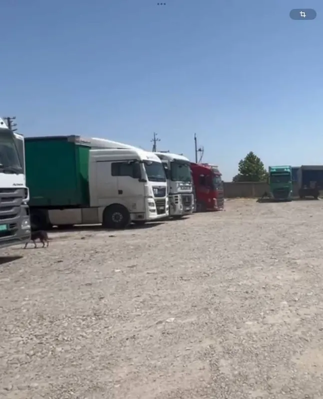 Sotiladi!!! Logistika uchun baza, 75 sotix. Toshkent viloyati, Zangiota tumani 1 Sotiladi!!! Logistika uchun baza, 75 sotix. Toshkent viloyati, Zangiota tumani 1