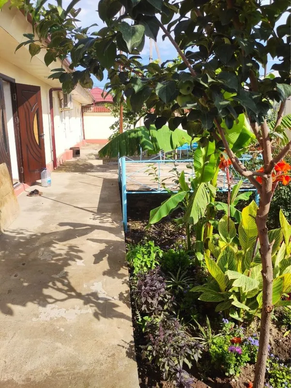 Сдается в аренду дача на 10-15 человек. Dacha arenda 10-15 kishilik 4