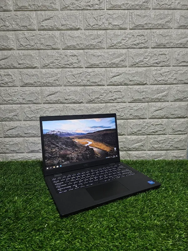Dell Inc. Latitude 3420.